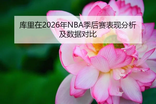 库里在2026年NBA季后赛表现分析及数据对比
