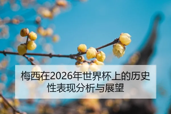 mei-xi-zai-nian-shi-jie-bei-shang-de-li-shi-xing-biao-xian-fen-xi-yu-zhan-wang-2-400.jpg