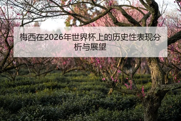 梅西在2026年世界杯上的历史性表现分析与展望