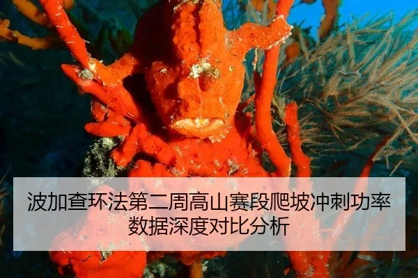 bo-jia-cha-huan-fa-di-er-zhou-gao-shan-sai-duan-pa-po-chong-ci-gong-lv-shu-ju-shen-du-dui-bi-fen-xi-2-355.jpg