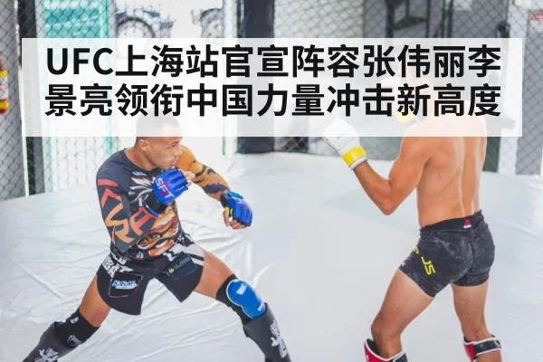 MMA fighter training